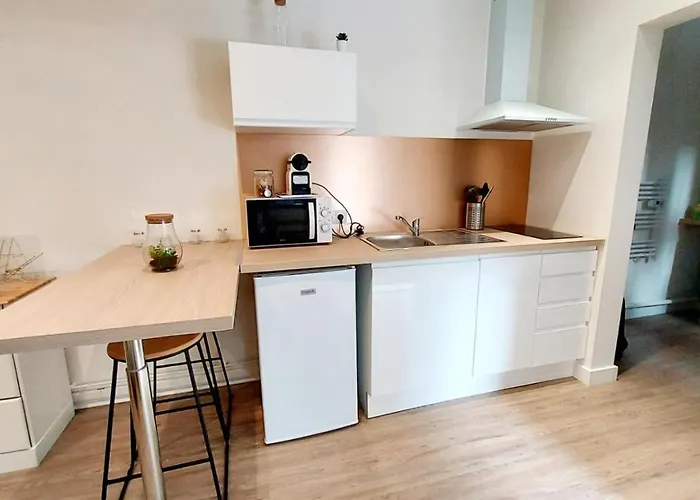 Apartament Cosy Yucca - T1 - Quartier Des Halles & Parking Pau