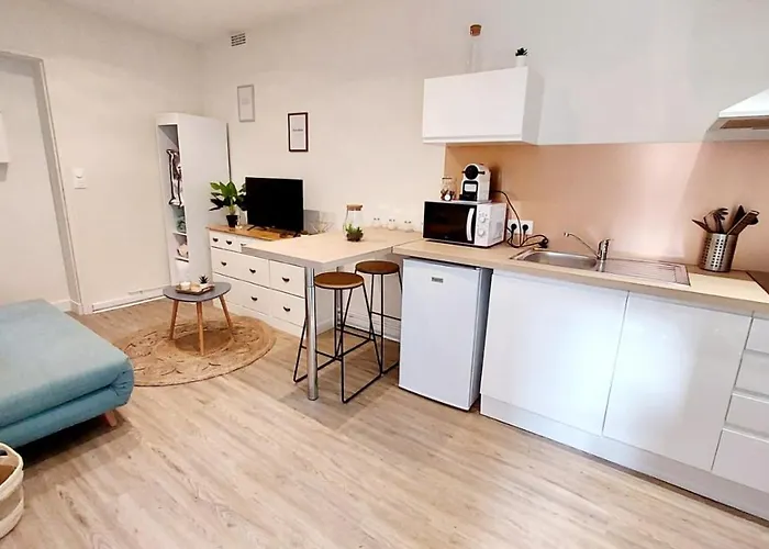 Apartament Cosy Yucca - T1 - Quartier Des Halles & Parking Pau