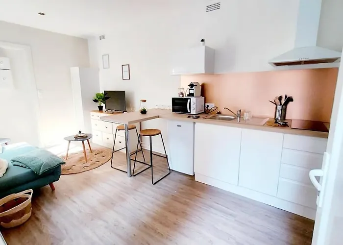 Cosy Yucca - T1 - Quartier Des Halles & Parking *